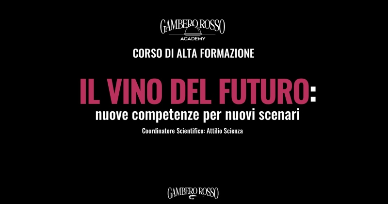 Il vino del futuro: Gambero Rosso Academy lancia l’alta formazione