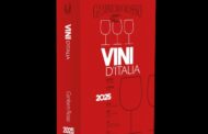 Guida Vini d’Italia 2025: l’istantanea del vino italiano